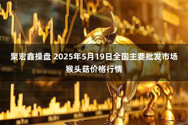 聚宏鑫操盘 2025年5月19日全国主要批发市场猴头菇价格行情